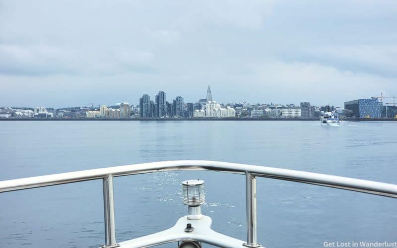 Whale Watching boat tour