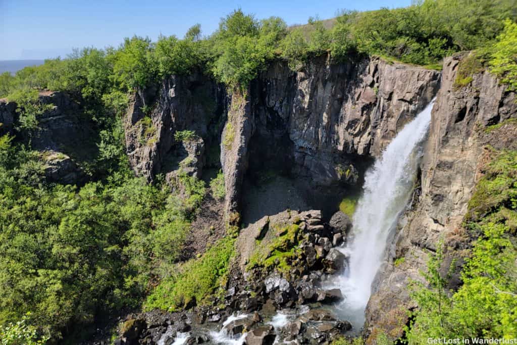 View from a hiking trail of a waterfall and surrounding trees.