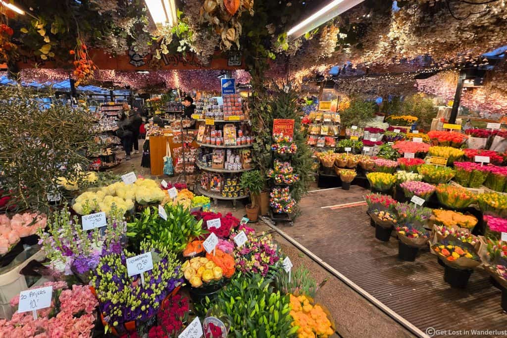 Vibrant colored flowers at an outdoor flower market in Amsterdam during winter.