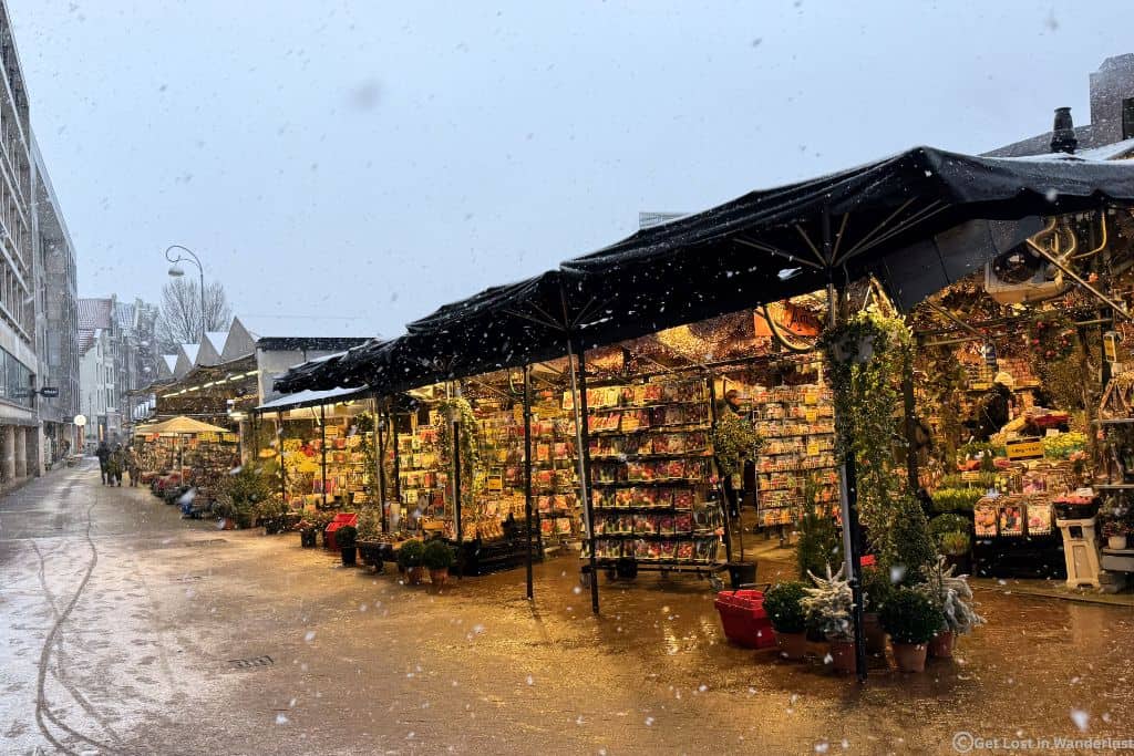 Amsterdam in January featuring the Bloemenmarket with the snow falling.
