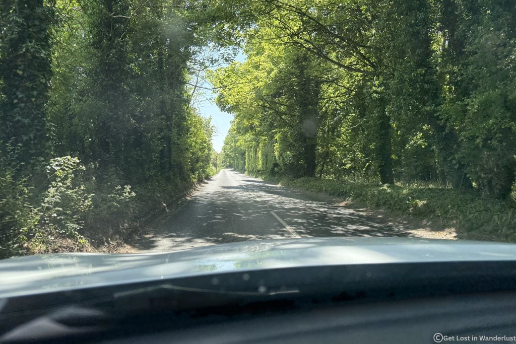 A dual track road in the scenic English countryside with trees covering over the roadway.
